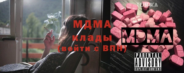 шишки Переславль-Залесский
