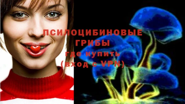 спиды Ахтубинск