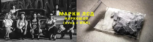 шишки Переславль-Залесский